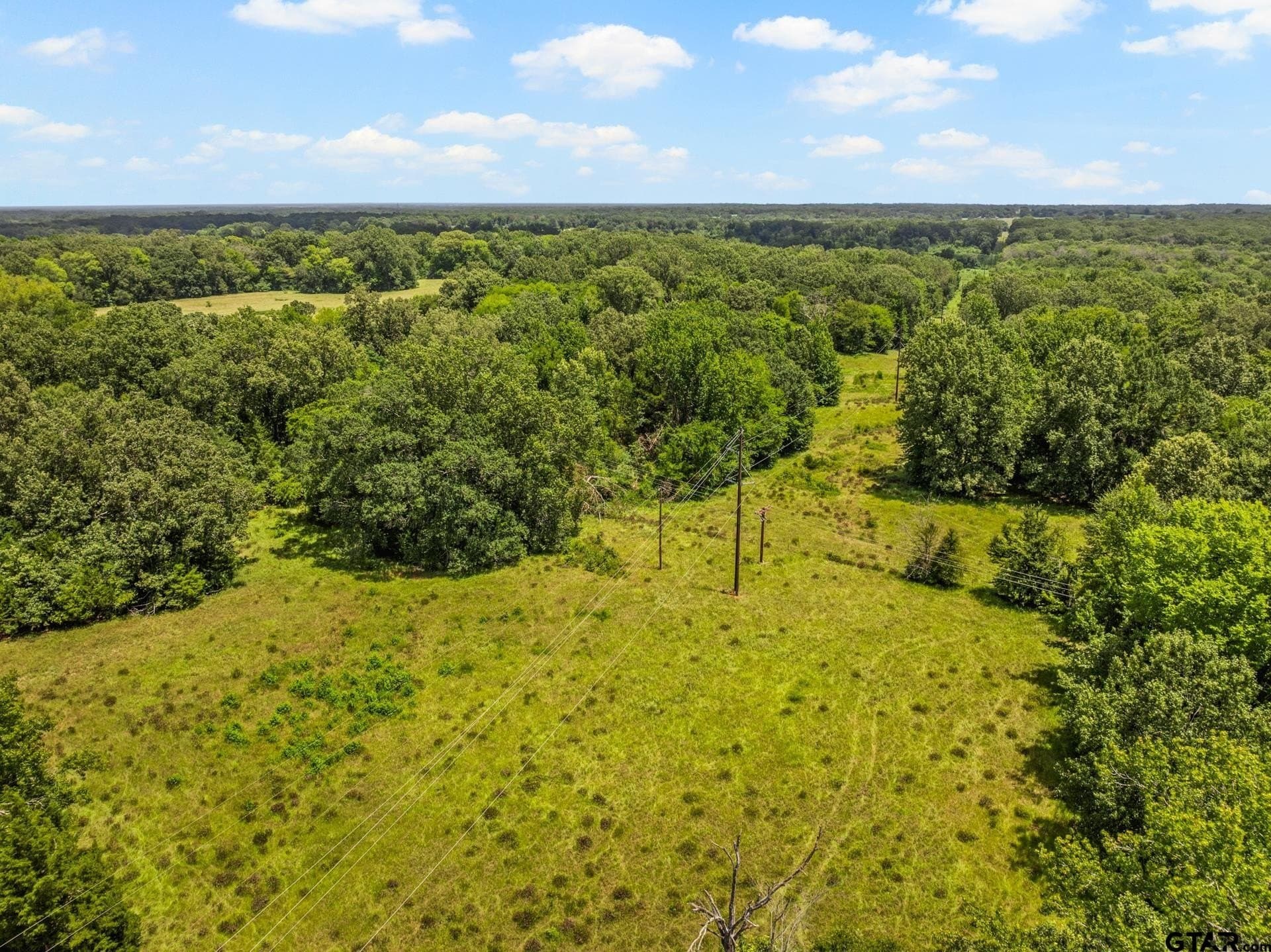 107 acres in Titus County - photo 24