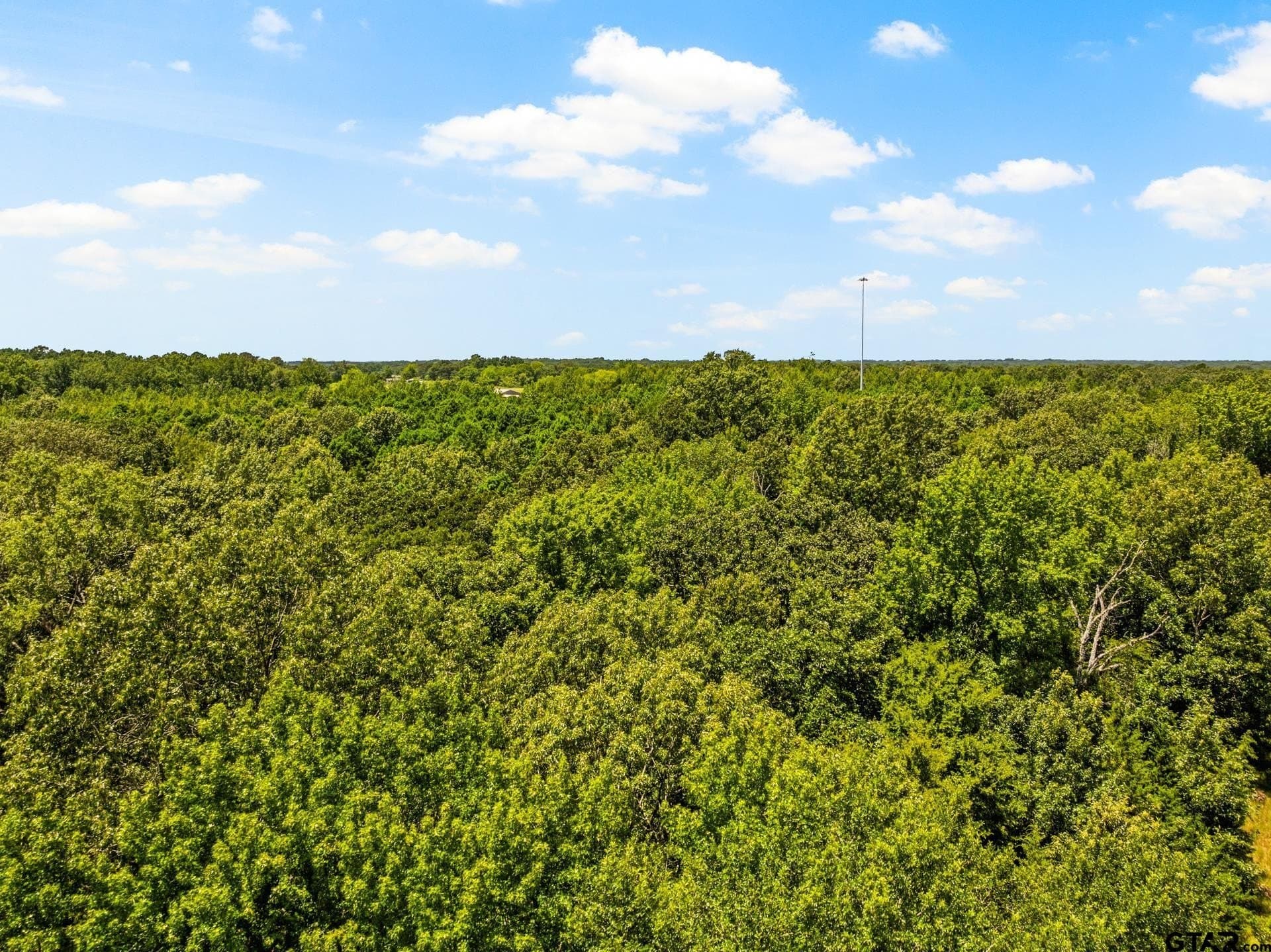 107 acres in Titus County - photo 20