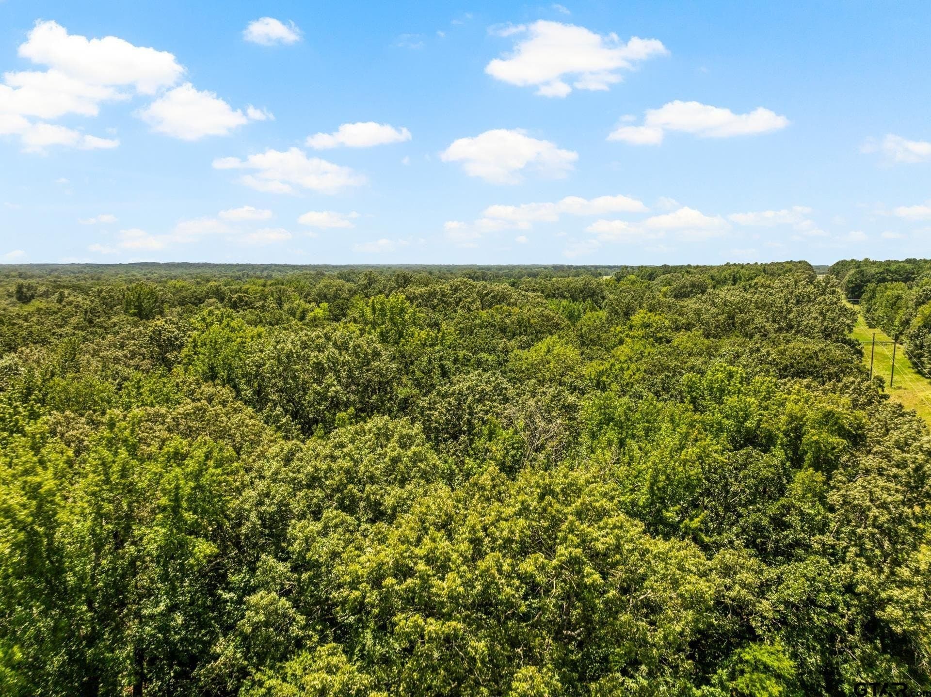 107 acres in Titus County - photo 26