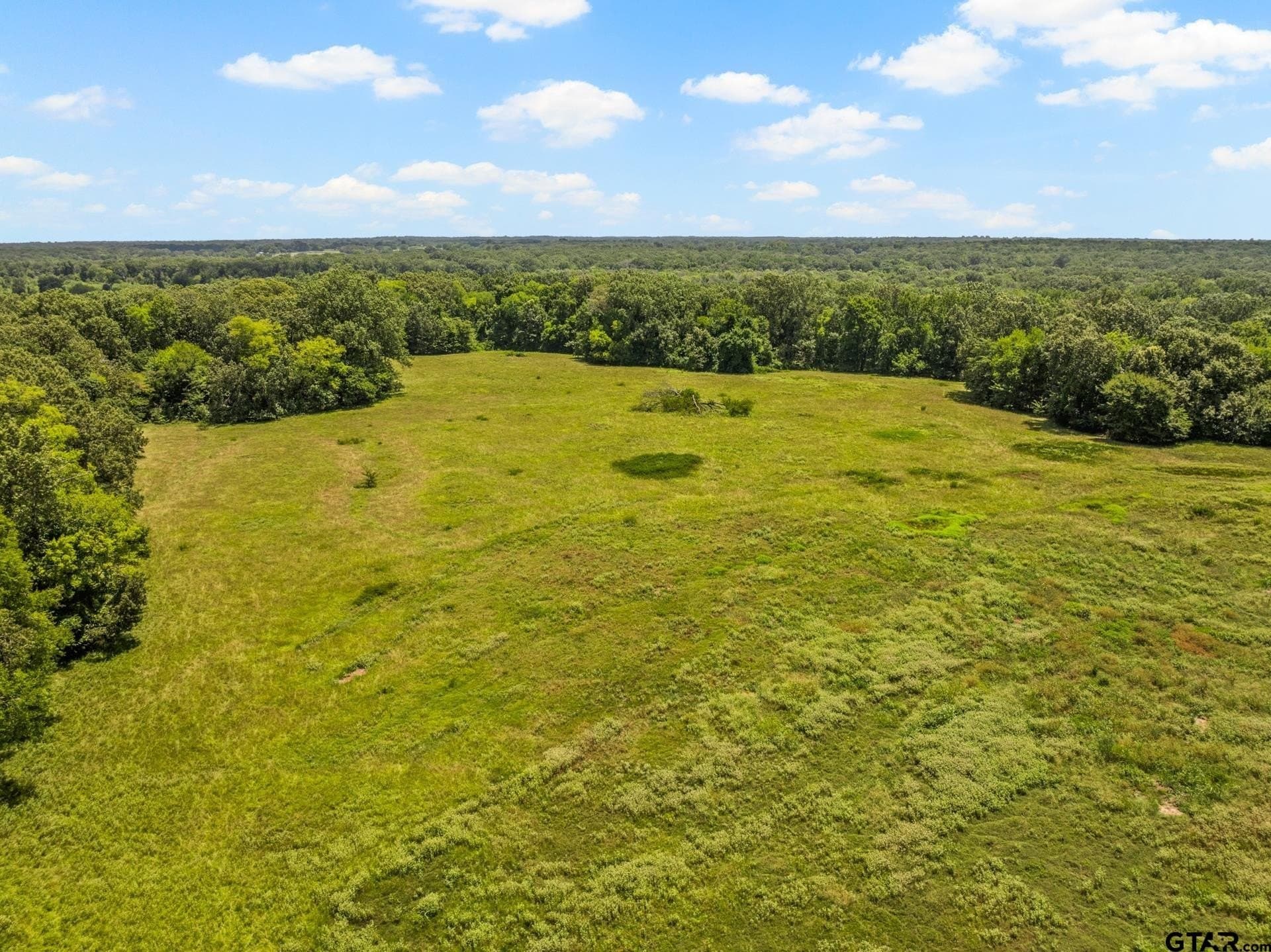 107 acres in Titus County - photo 16