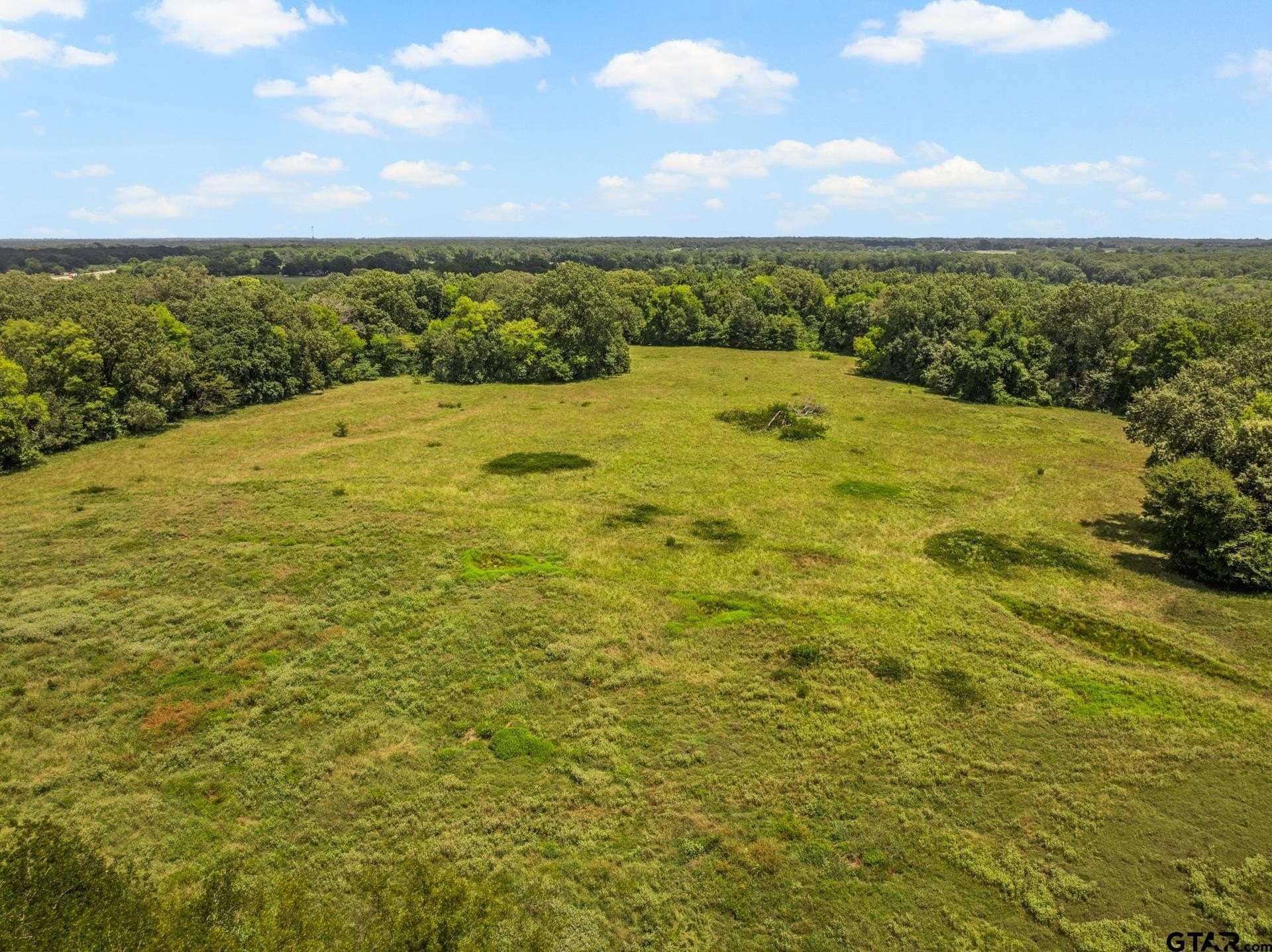 107 acres in Titus County - photo 17