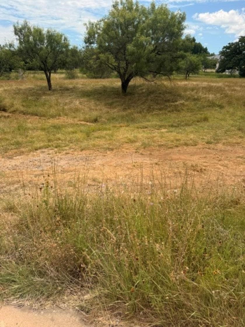 0.21 acres in Llano County gallery image 3