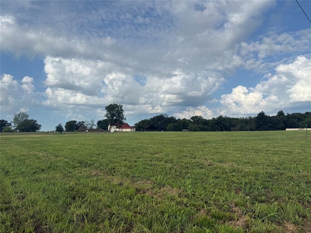 1.13 acres in Fannin County gallery image 2