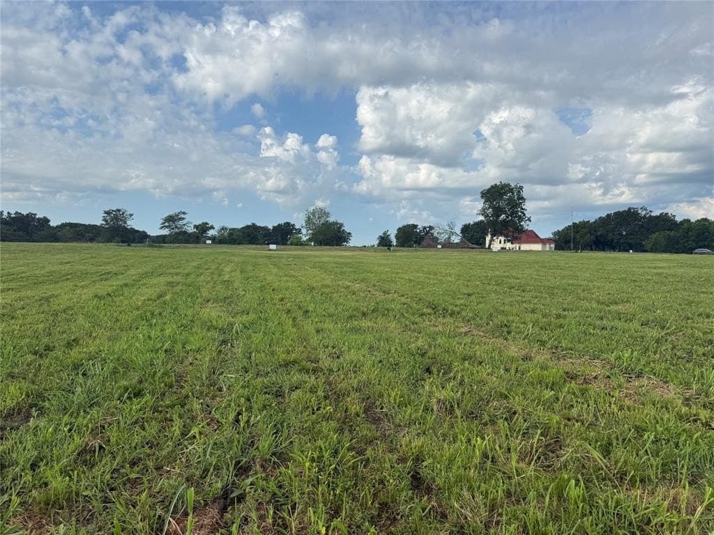1.13 acres in Fannin County gallery image 4