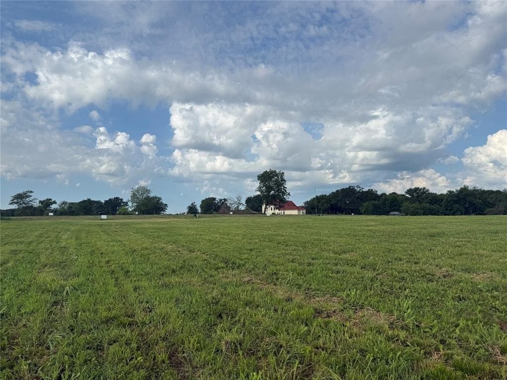 1.13 acres in Fannin County gallery image 3