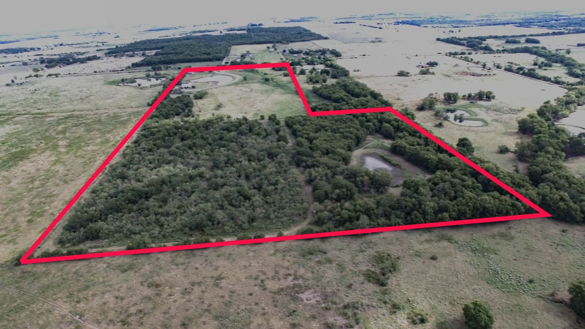 41.39 acres in Kaufman County gallery image 4