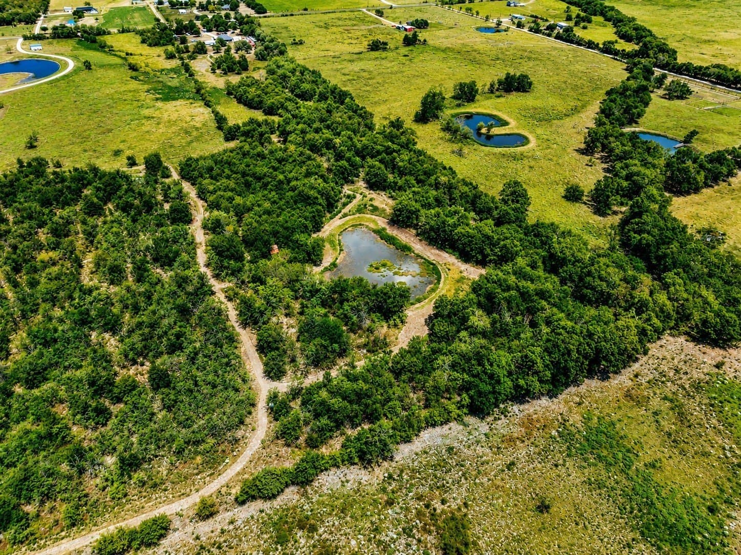 41.39 acres in Kaufman County - photo 6