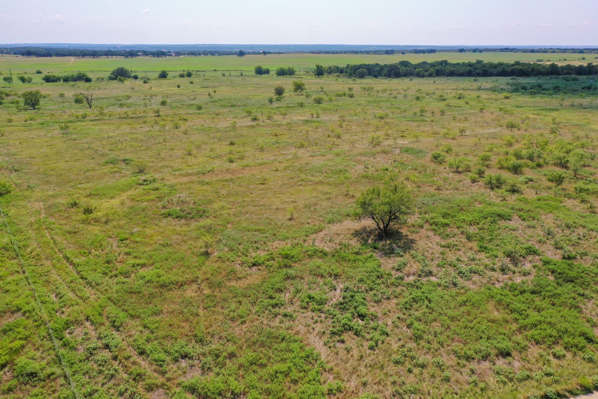 29.56 acres in Jack County