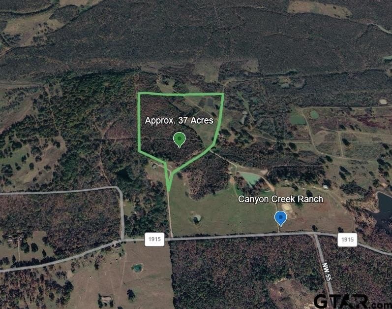 37 acres in Titus County gallery image 3