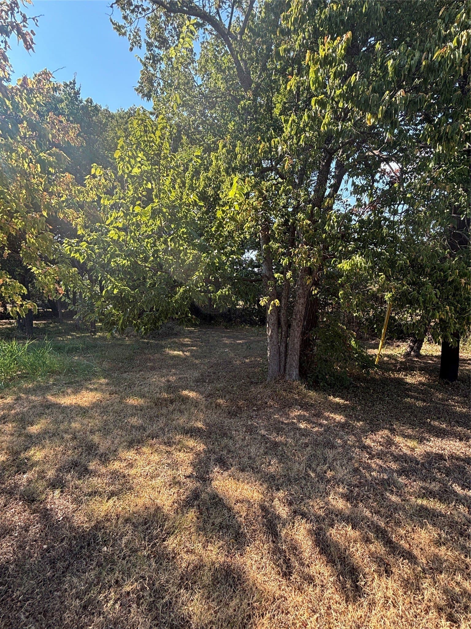 0.23 acres in Cooke County - photo 4