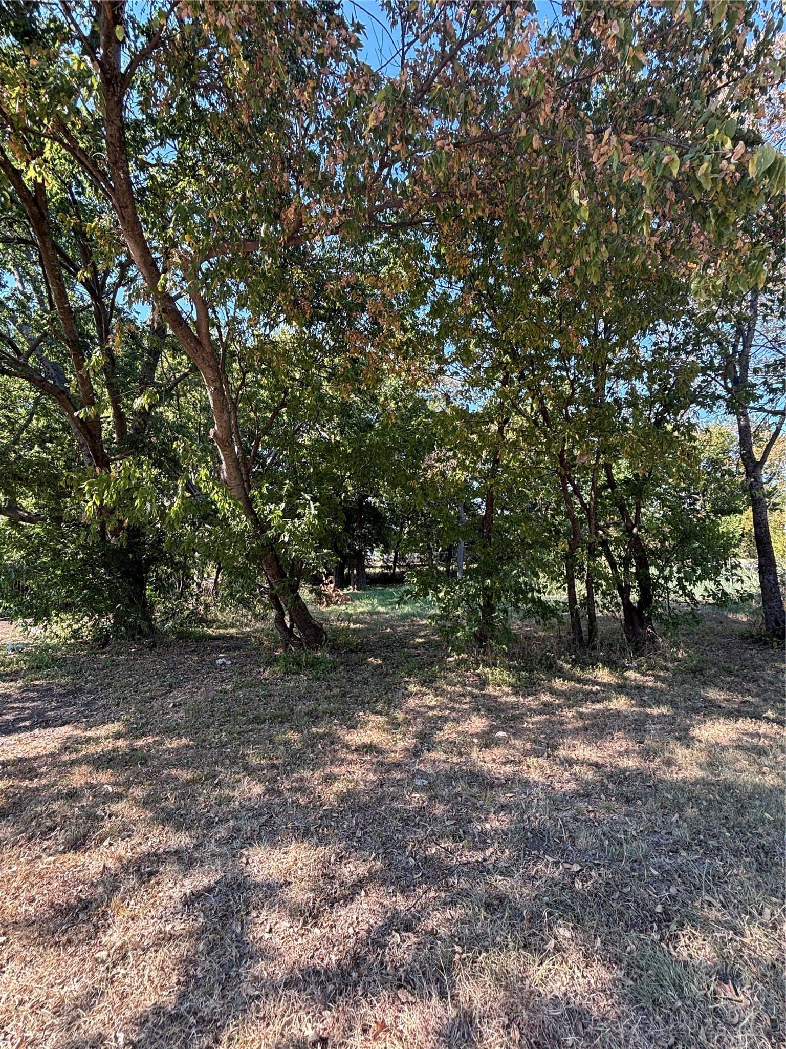0.23 acres in Cooke County - photo 2