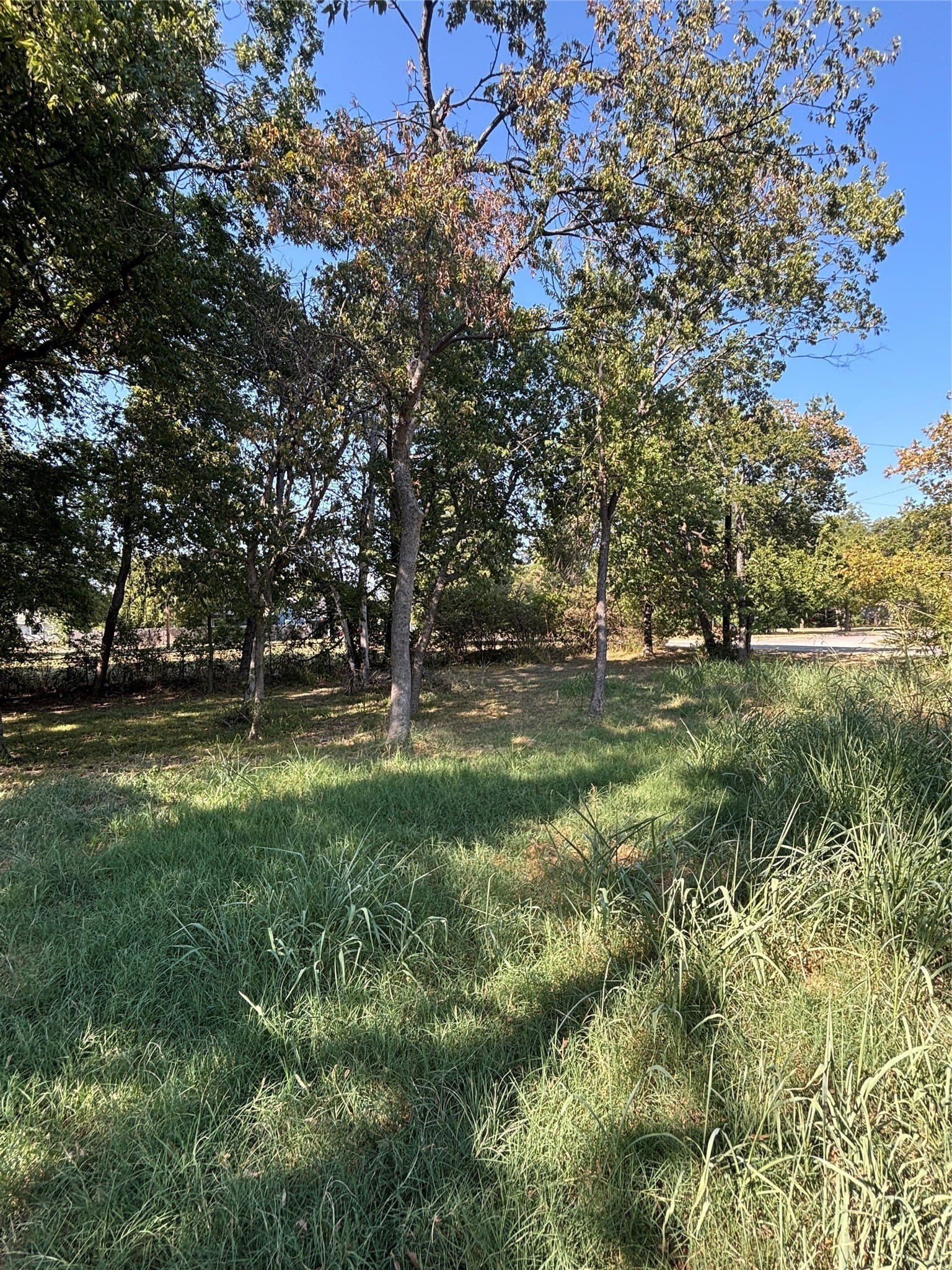 0.23 acres in Cooke County - photo 3