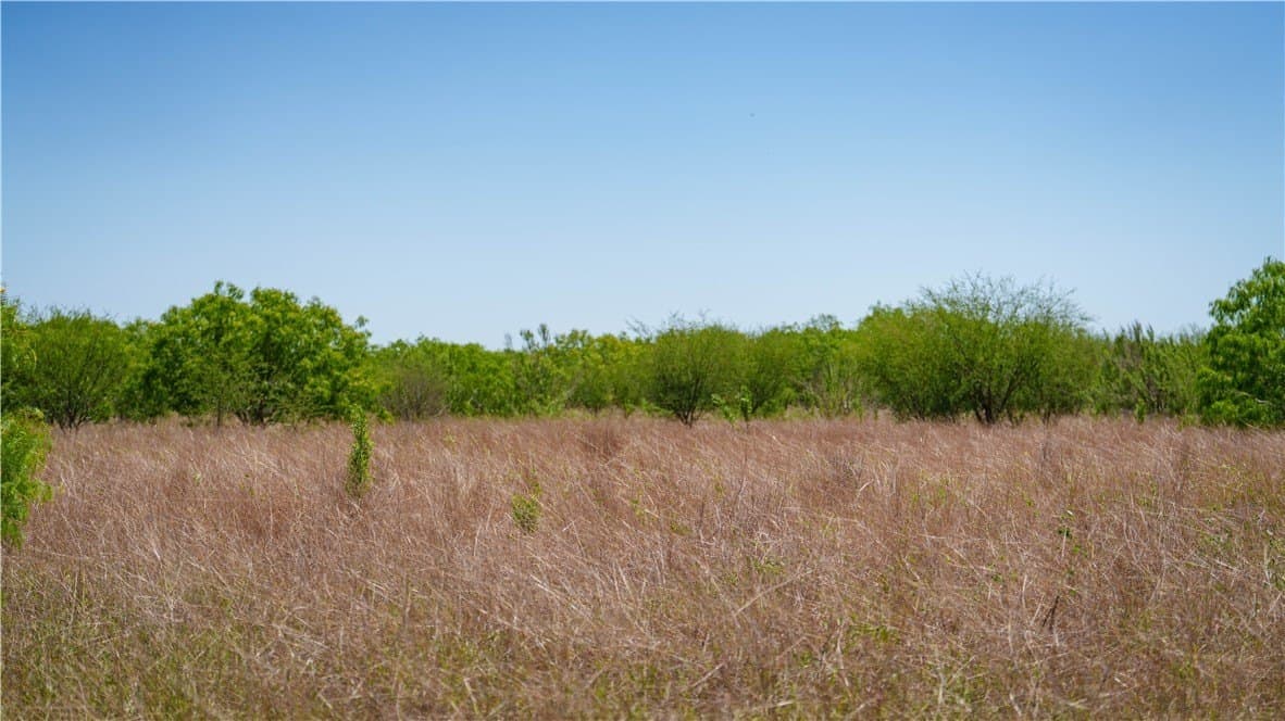 20.08 acres in Jim Wells County - photo 19