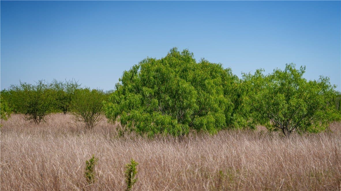 20.08 acres in Jim Wells County - photo 26