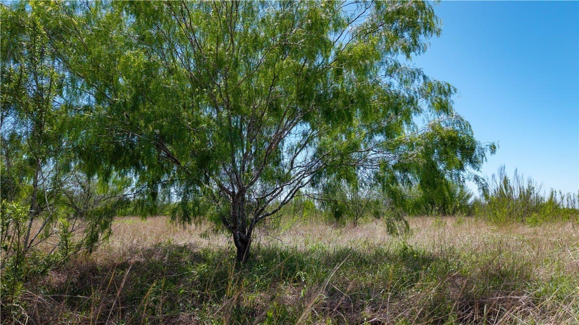 20.08 acres in Jim Wells County - photo 16