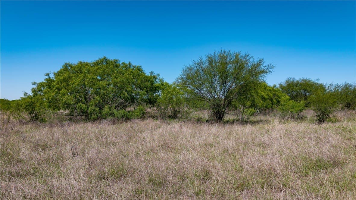 20.08 acres in Jim Wells County - photo 39