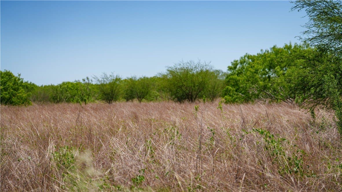 20.08 acres in Jim Wells County - photo 20