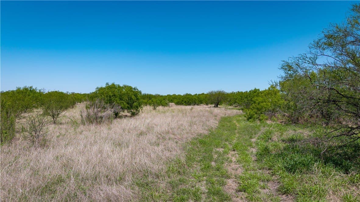 20.08 acres in Jim Wells County - photo 13