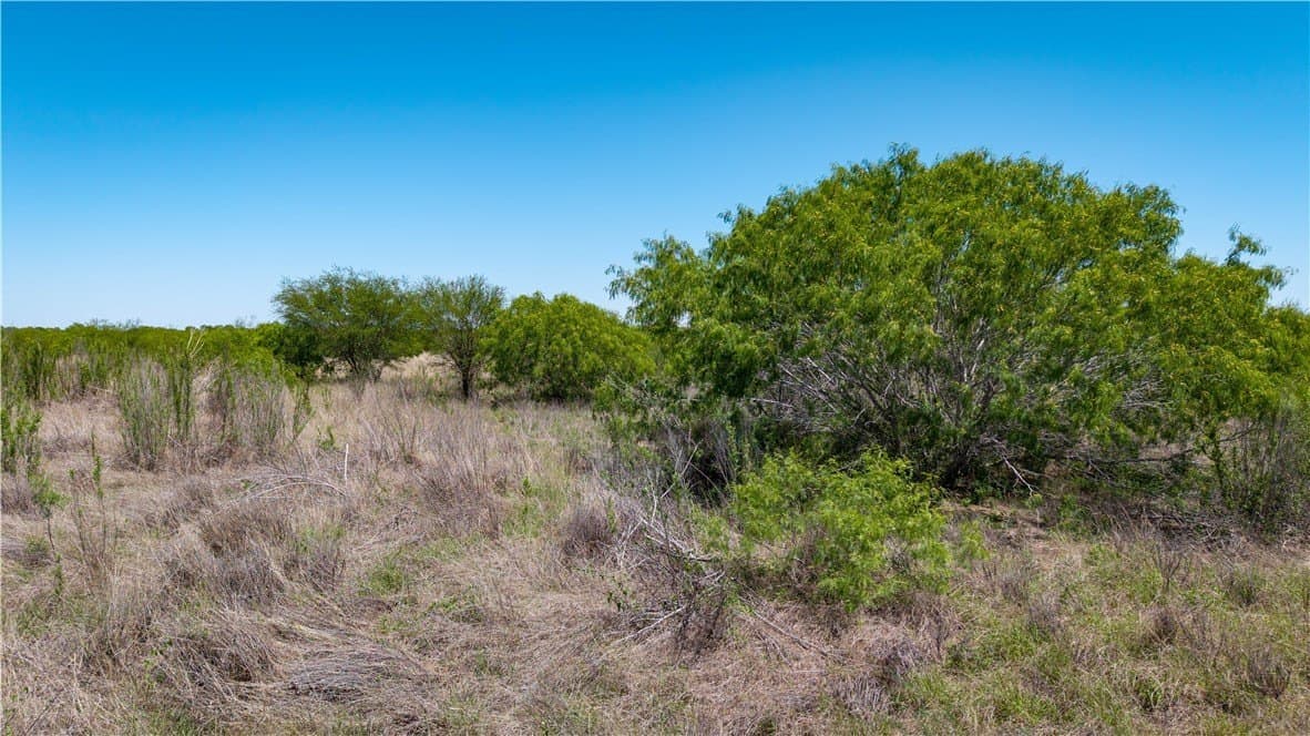 20.08 acres in Jim Wells County - photo 40