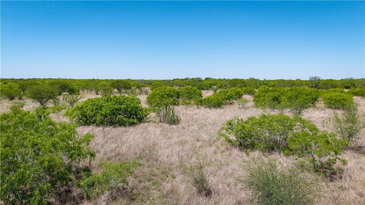20.08 acres in Jim Wells County - photo 37