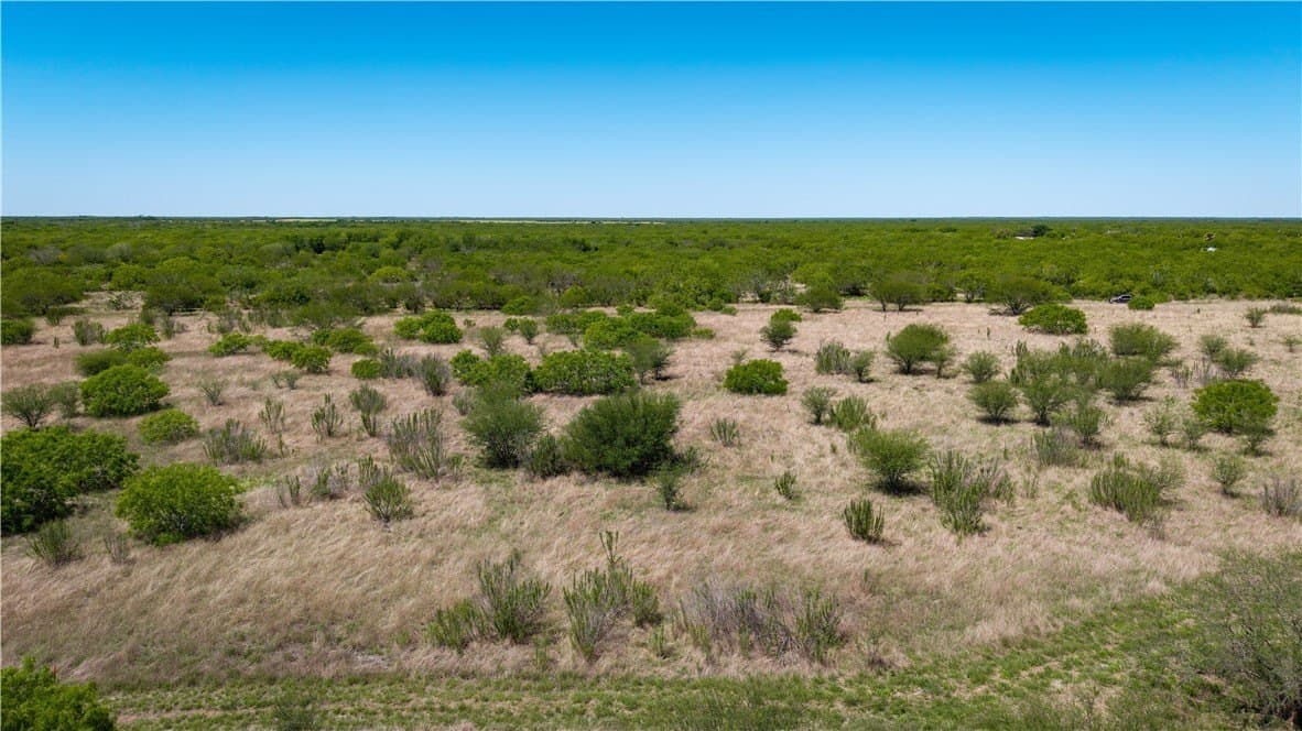 20.08 acres in Jim Wells County - photo 7