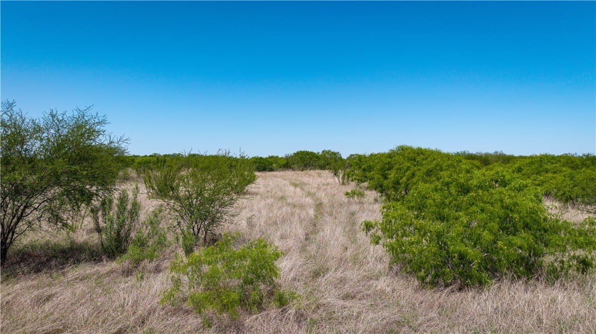 20.08 acres in Jim Wells County - photo 38