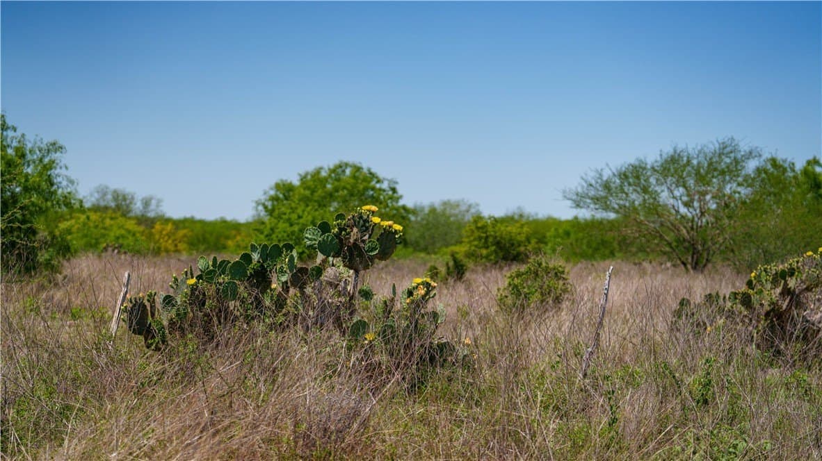 20.08 acres in Jim Wells County - photo 30