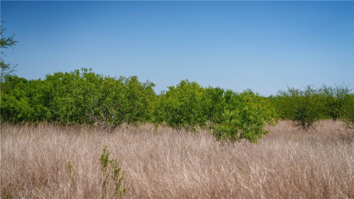 20.08 acres in Jim Wells County - photo 27