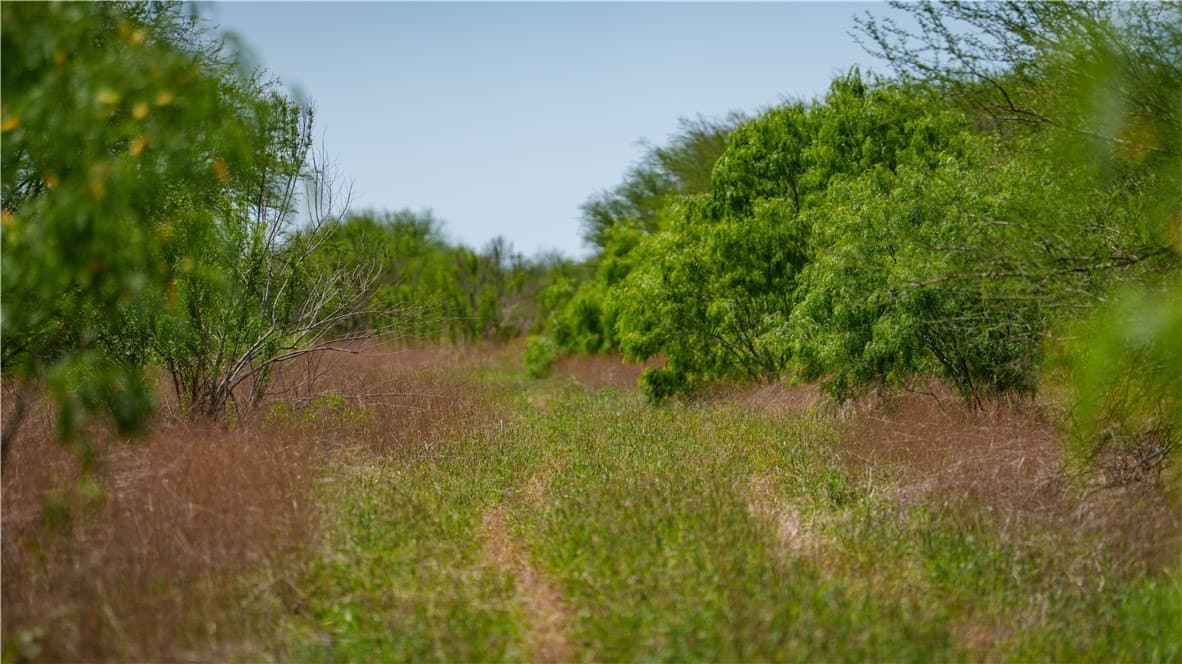 20.08 acres in Jim Wells County - photo 18