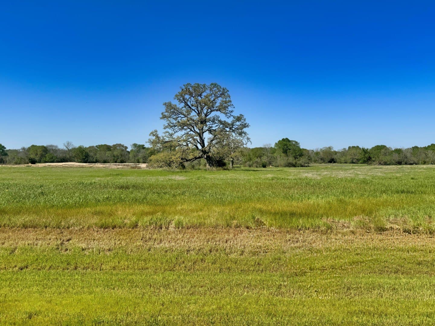 1.4 acres in Grimes County