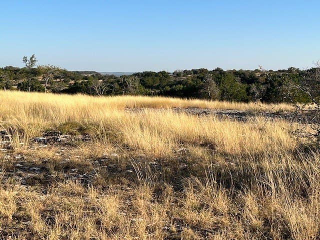 10.02 acres in Gillespie County featured view