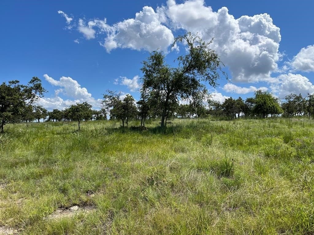 10.1 acres in Gillespie County - photo 4