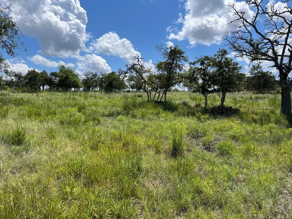 10.1 acres in Gillespie County - photo 5