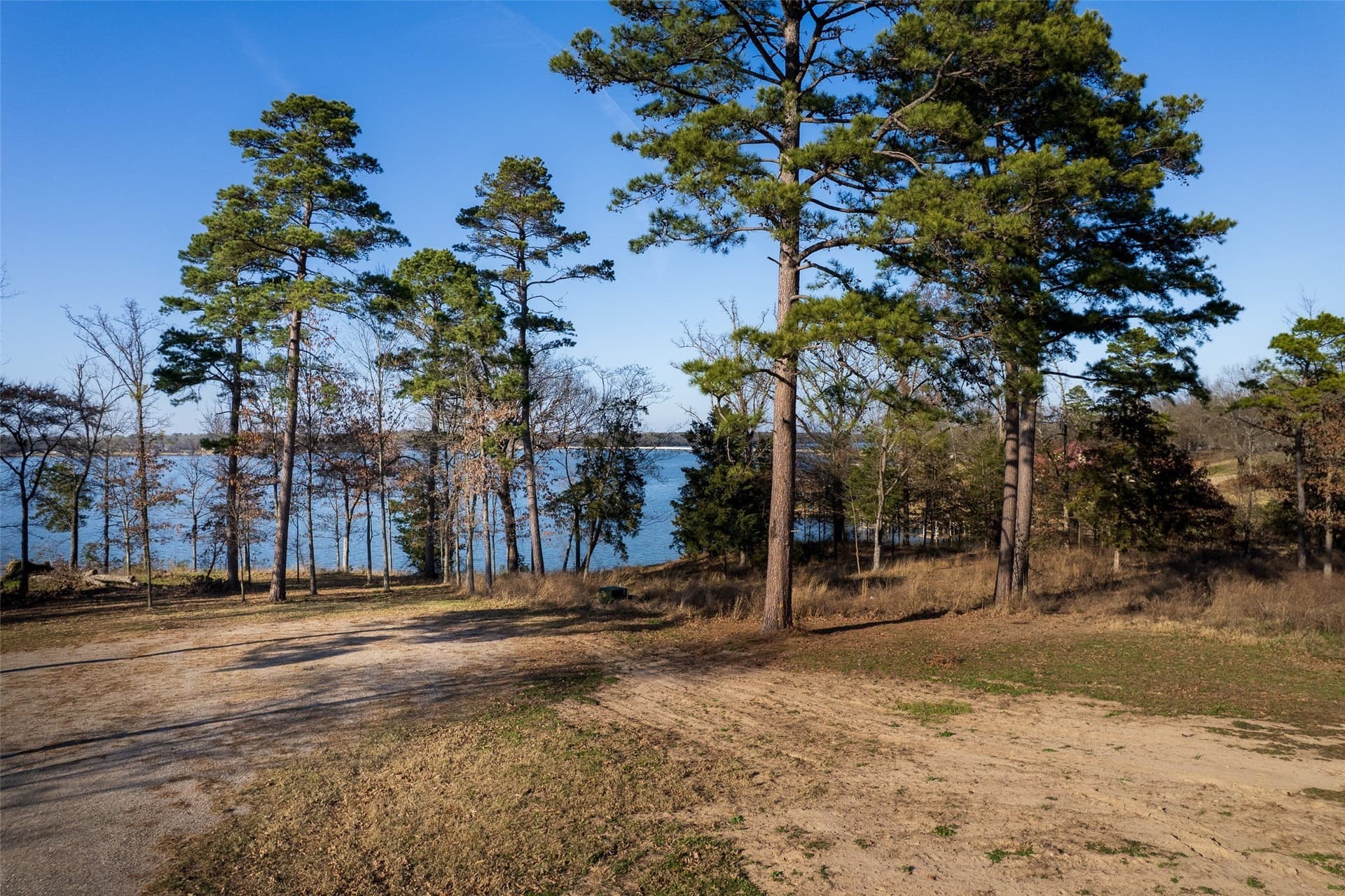 6.98 acres in Camp County - photo 12