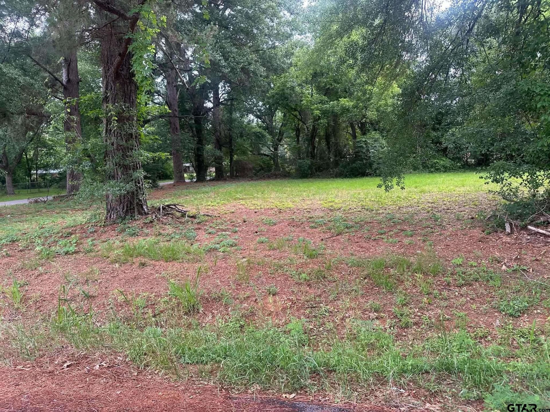 0.3 acres in Anderson County gallery image 3