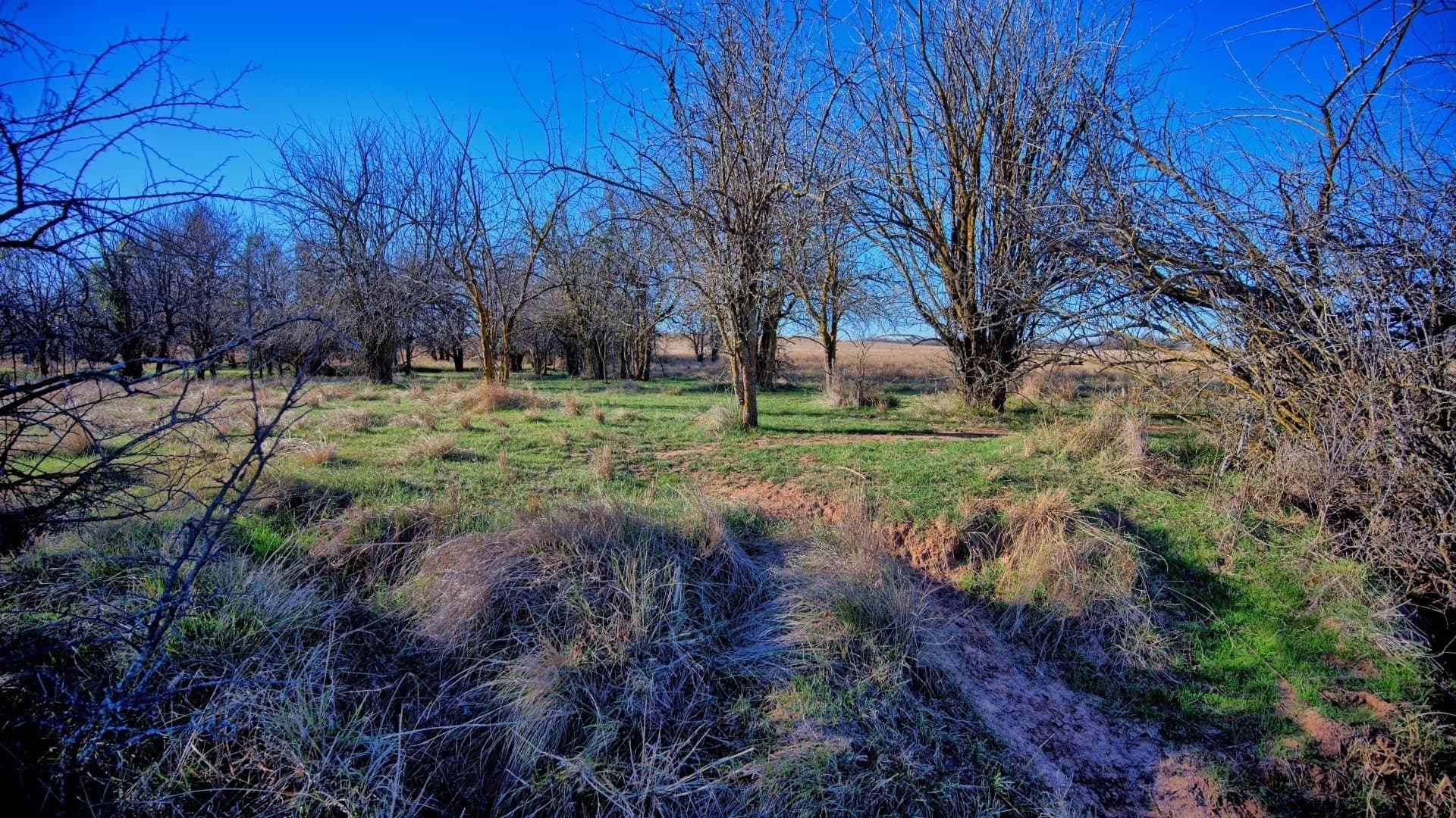 3,112.51 acres in Clay County - photo 30