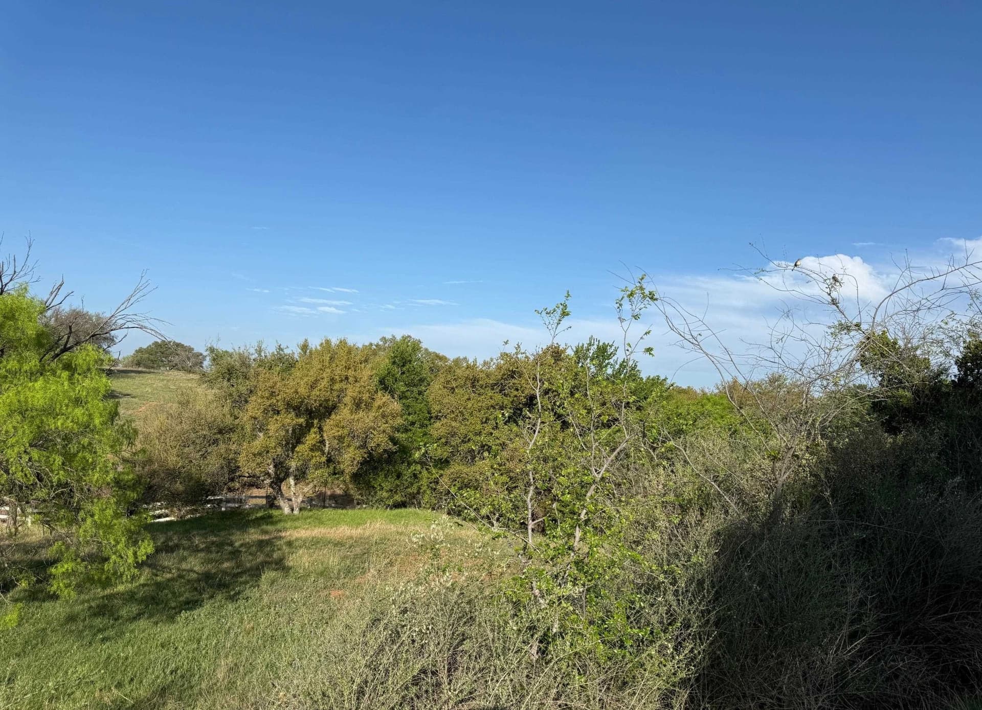 0.25 acres in Llano County gallery image 4