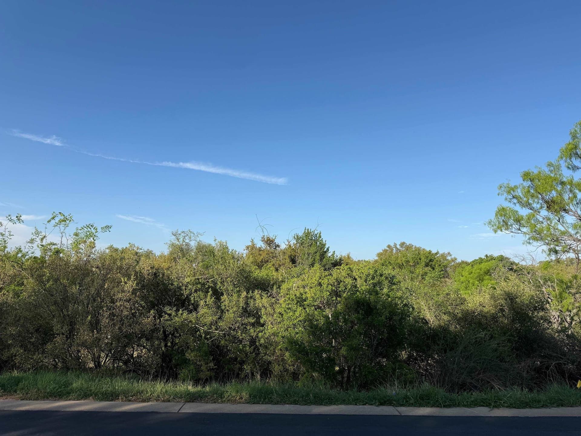 0.25 acres in Llano County gallery image 2