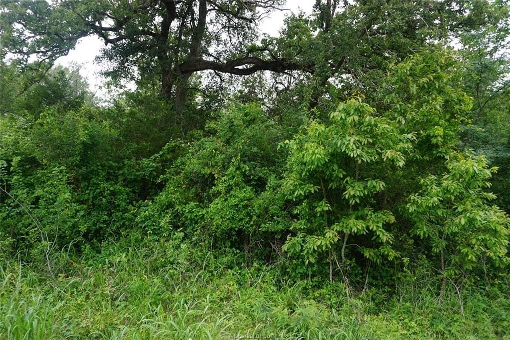 2.07 acres in Burleson County