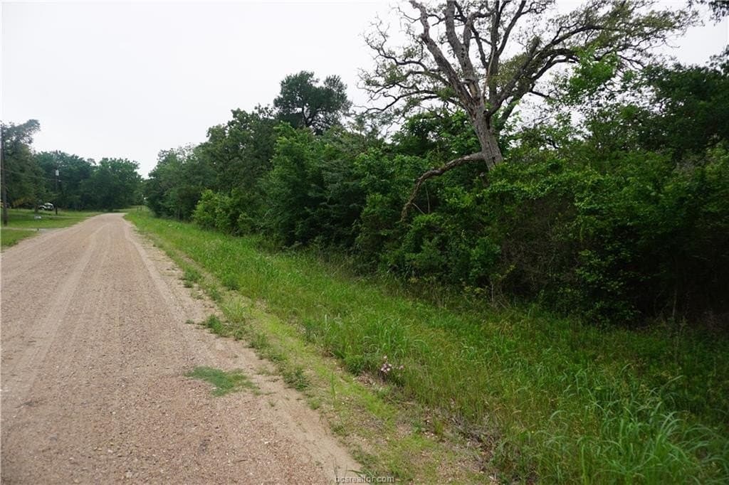 2.07 acres in Burleson County gallery image 2
