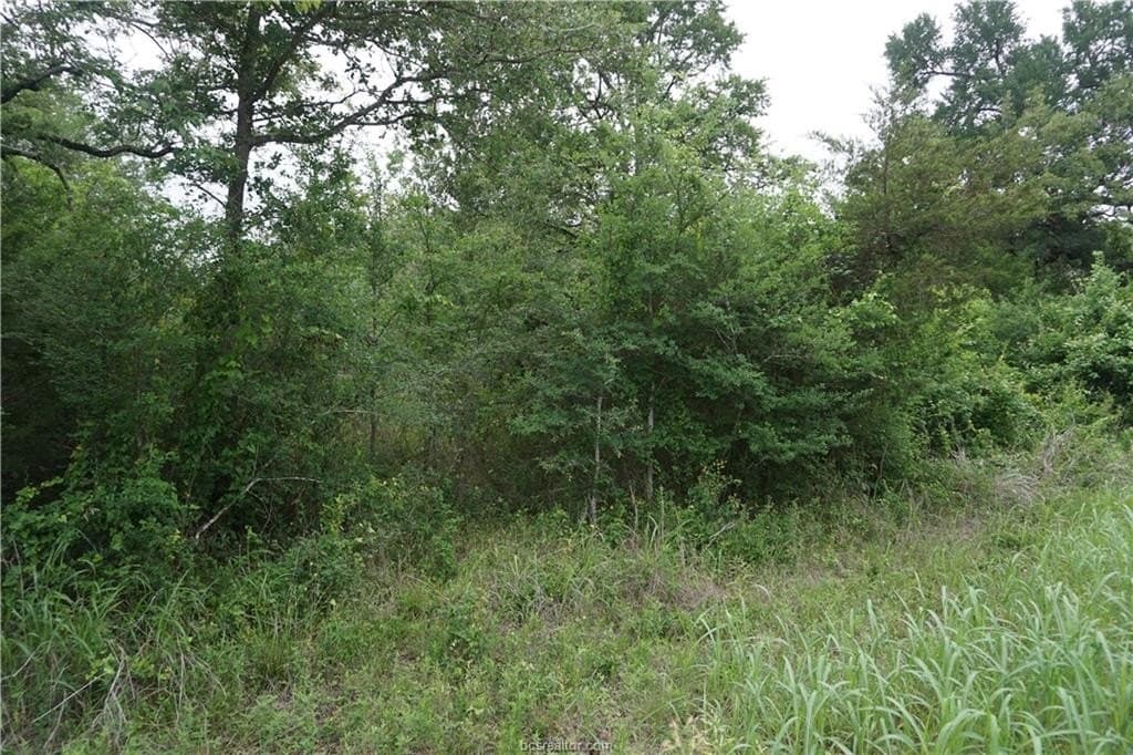 2.07 acres in Burleson County - photo 6