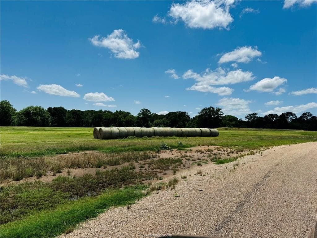 11.63 acres in Robertson County gallery image 2