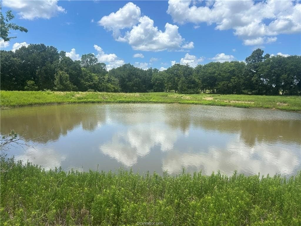 11.63 acres in Robertson County - photo 6