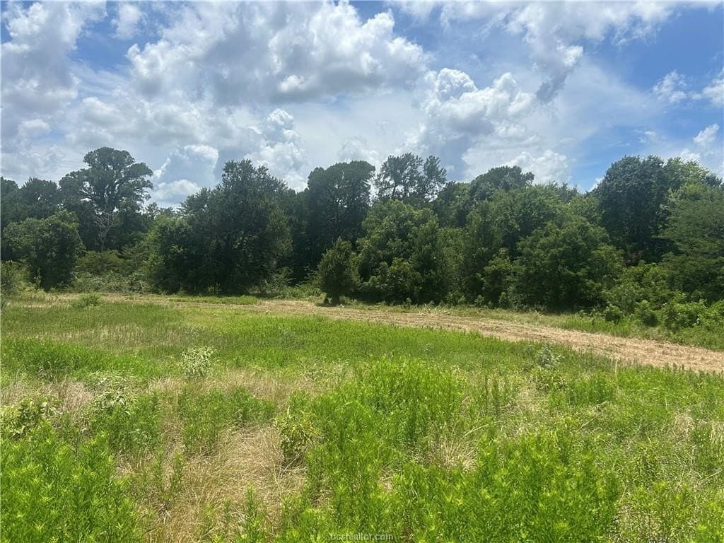 11.63 acres in Robertson County - photo 9