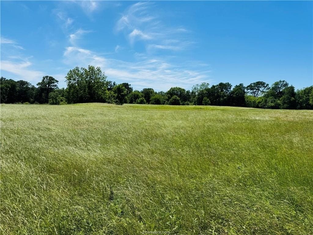 11.63 acres in Robertson County gallery image 4