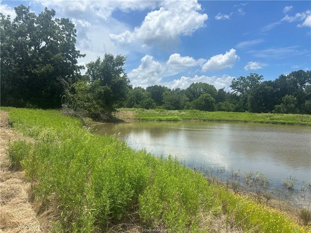 11.63 acres in Robertson County - photo 7