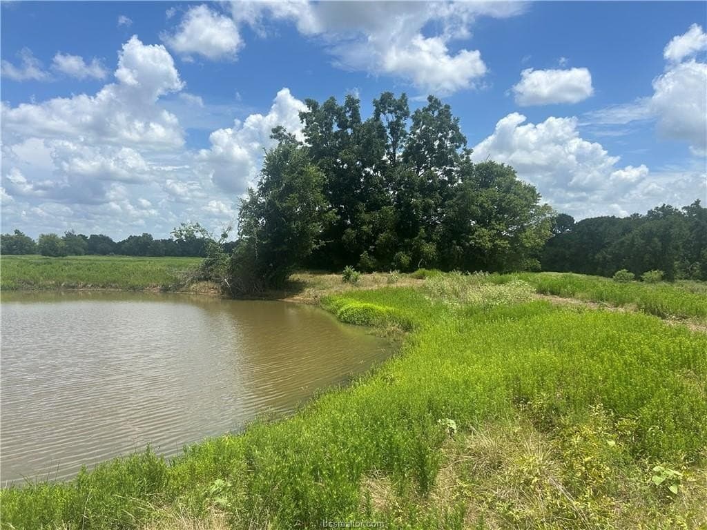 11.63 acres in Robertson County - photo 8