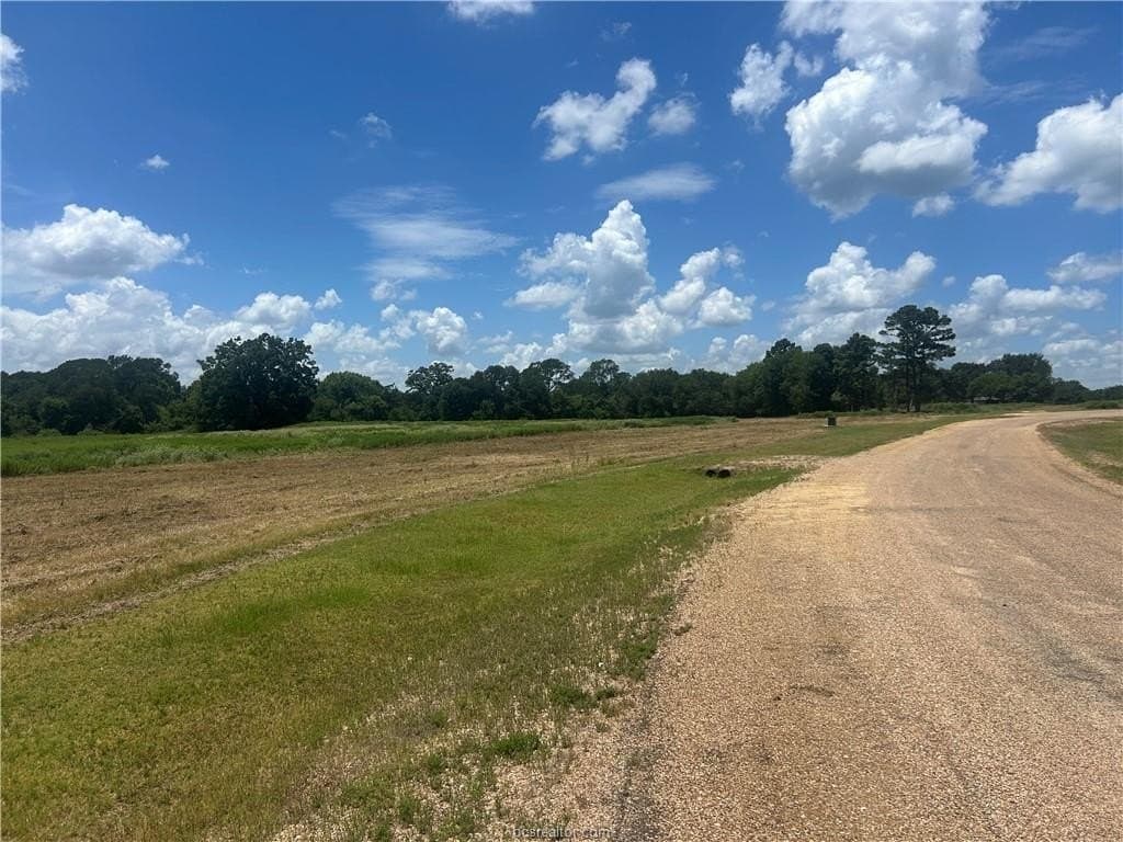 11.63 acres in Robertson County gallery image 3