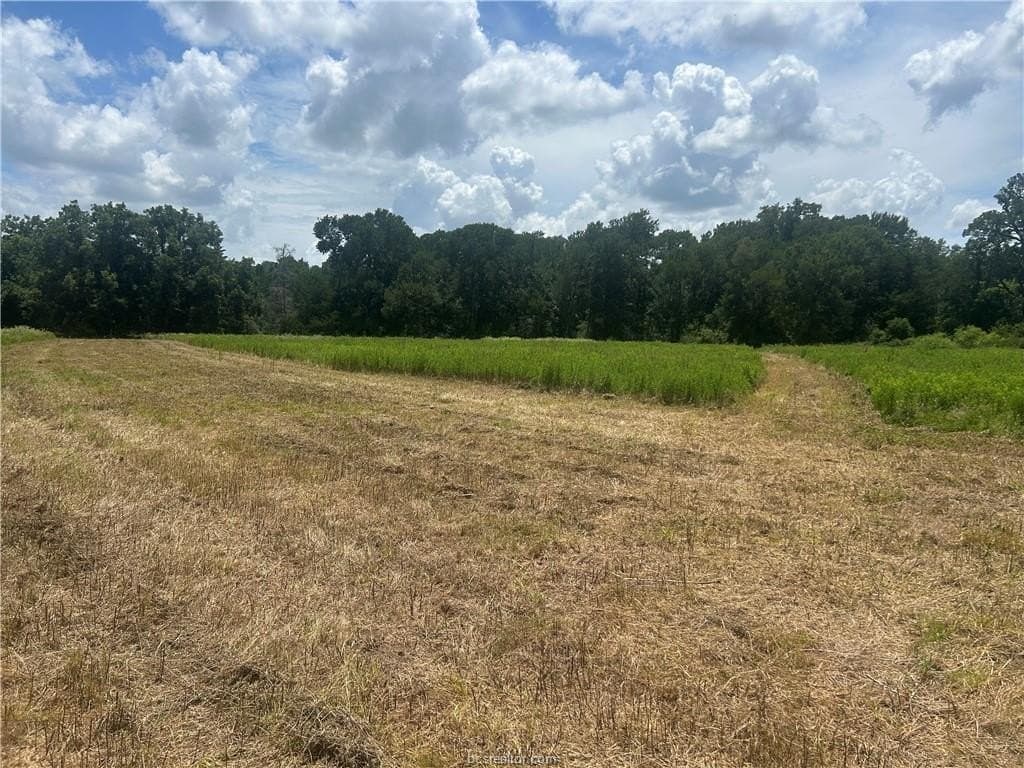 11.63 acres in Robertson County featured view
