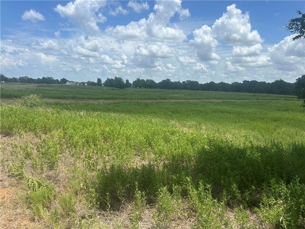 11.63 acres in Robertson County - photo 10